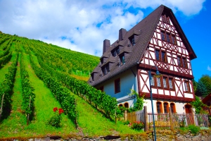 Bacharach, Germany vineyards